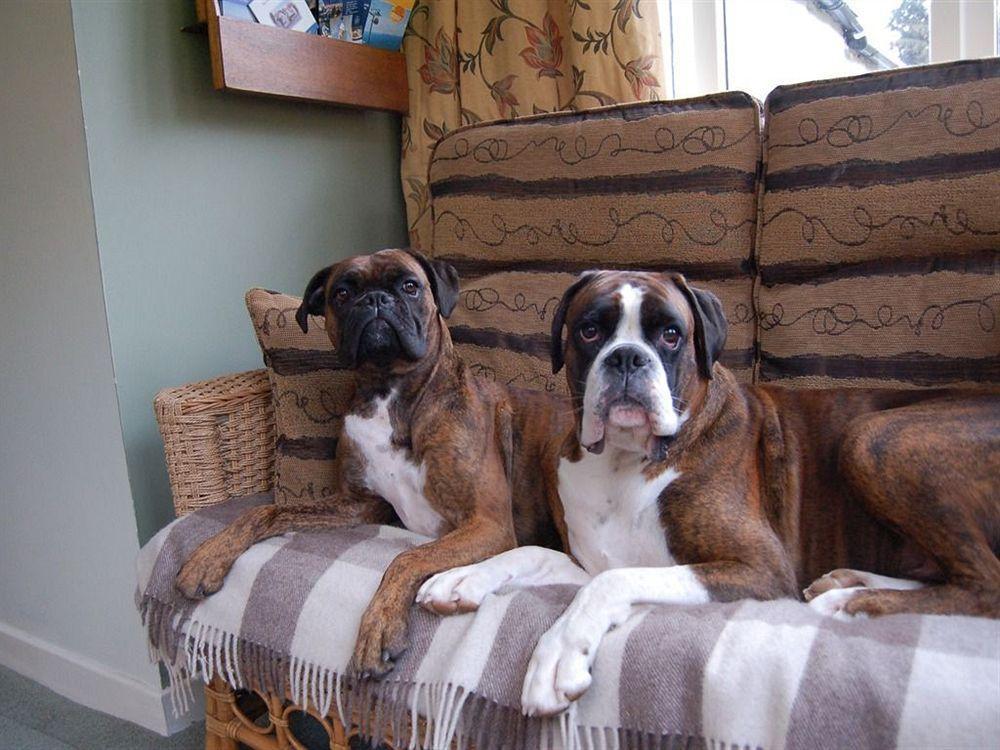 Drynachan Bed & Breakfast Inverness Dış mekan fotoğraf